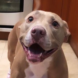 Meet your Posher, Aileen